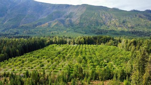 Lots 71-72 Harrison Road, Arrow Park, BC - Outdoor With View