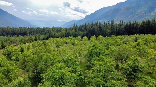 Lots 71-72 Harrison Road, Arrow Park, BC - Outdoor With View