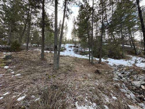 Lot 38 Rose Terrace, Fairmont Hot Springs, BC - Outdoor With View