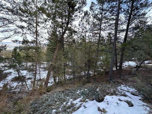 Lot 38 Rose Terrace, Fairmont Hot Springs, BC - Outdoor With View