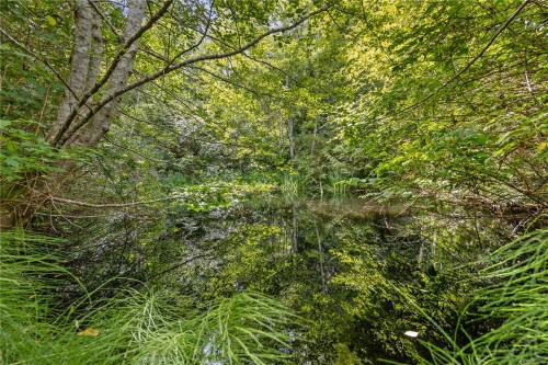 10 Windham Rd, Lasqueti Island, BC 