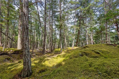 10 Windham Rd, Lasqueti Island, BC 