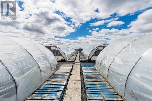 331 Tornado Drive, Bradford West Gwillimbury, ON 