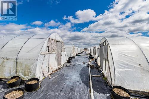 331 Tornado Drive, Bradford West Gwillimbury, ON 