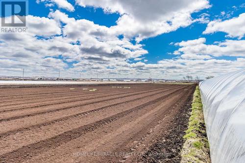 331 Tornado Drive, Bradford West Gwillimbury, ON 