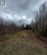2019 Route 121  Norton, NB E5T 1E7