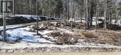 790 Mitchell Road, Madawaska Valley, ON 