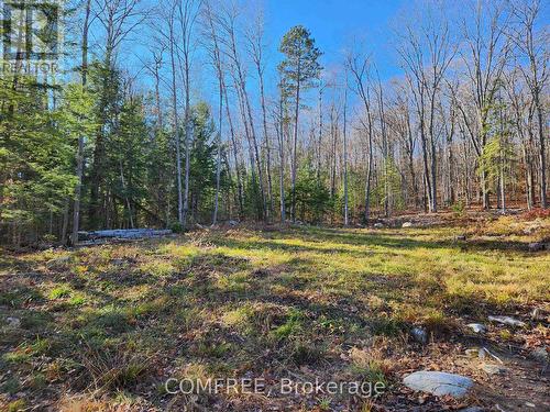 790 Mitchell Road, Madawaska Valley, ON 