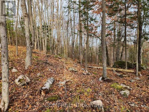 790 Mitchell Road, Madawaska Valley, ON 