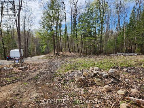 790 Mitchell Road, Madawaska Valley, ON 