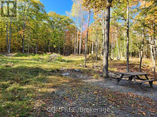 790 Mitchell Road, Madawaska Valley, ON 