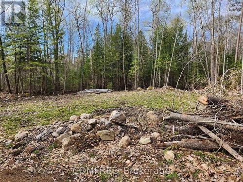 790 Mitchell Road, Madawaska Valley, ON 