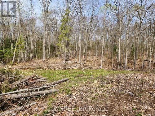 790 Mitchell Road, Madawaska Valley, ON 