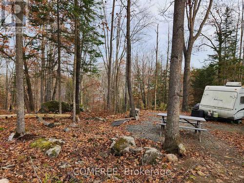 790 Mitchell Road, Madawaska Valley, ON 