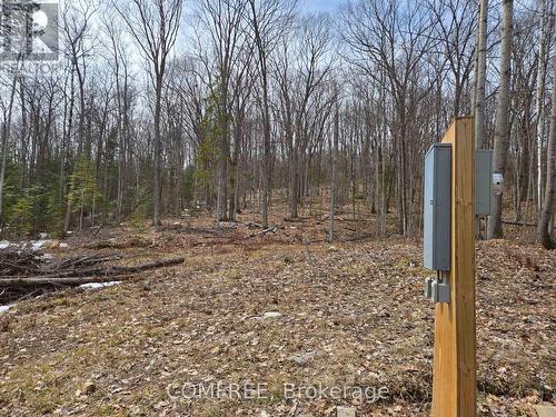 790 Mitchell Road, Madawaska Valley, ON 