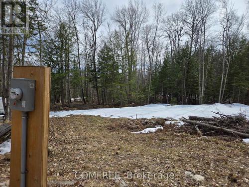 790 Mitchell Road, Madawaska Valley, ON 