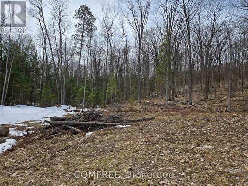 790 Mitchell Road, Madawaska Valley, ON 