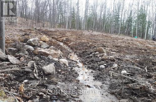 790 Mitchell Road, Madawaska Valley, ON 