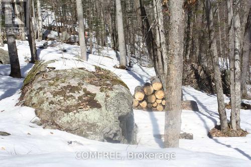 790 Mitchell Road, Madawaska Valley, ON 