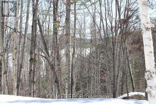 790 Mitchell Road, Madawaska Valley, ON 