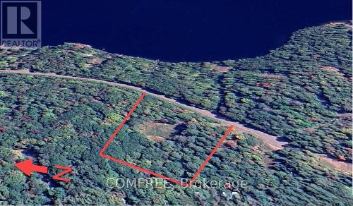 790 Mitchell Road, Madawaska Valley, ON 