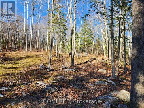 790 Mitchell Road, Madawaska Valley, ON 