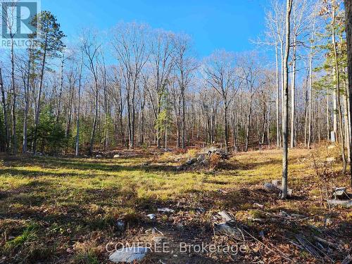 790 Mitchell Road, Madawaska Valley, ON 