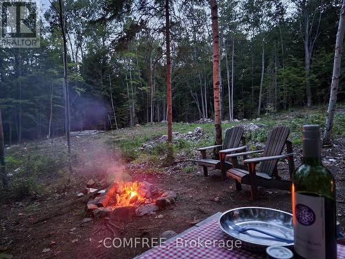 790 Mitchell Road, Madawaska Valley, ON 