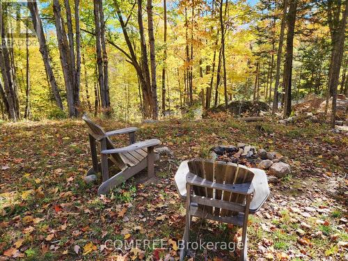 790 Mitchell Road, Madawaska Valley, ON 