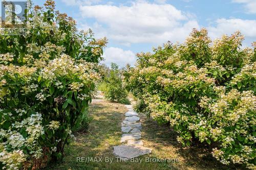 3854 Is 630 Georgian Bay, Georgian Bay (Baxter), ON - Outdoor