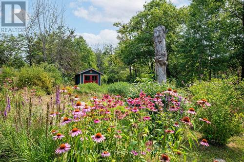 3854 Is 630 Georgian Bay, Georgian Bay (Baxter), ON - Outdoor