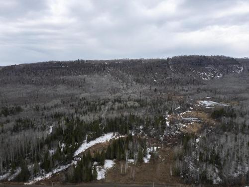 0 Milne Road, Neebing, ON 