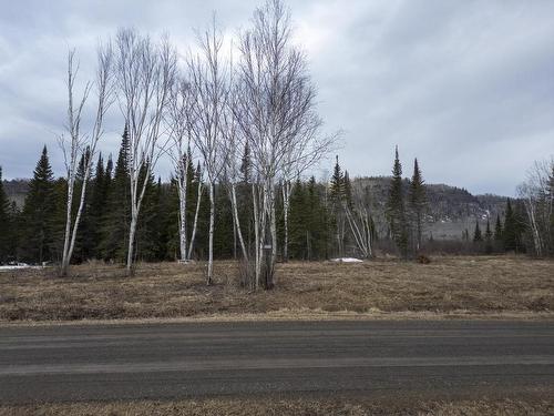 0 Milne Road, Neebing, ON 