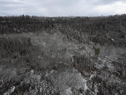 0 Milne Road, Neebing, ON 