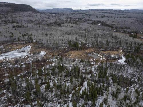 0 Milne Road, Neebing, ON 