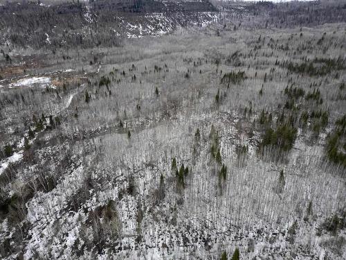 0 Milne Road, Neebing, ON 