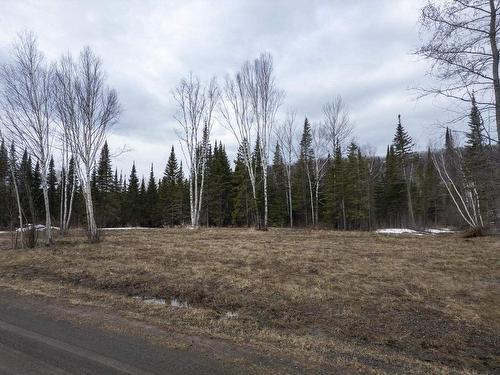 0 Milne Road, Neebing, ON 