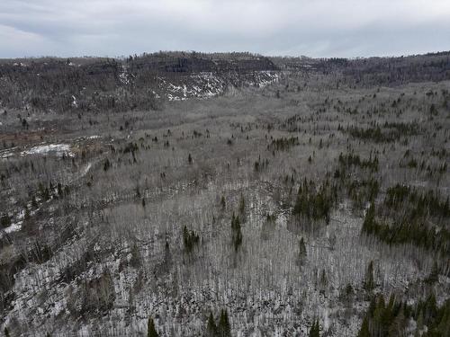 0 Milne Road, Neebing, ON 