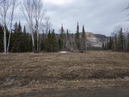 0 Milne Road, Neebing, ON 