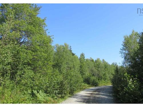 Highway 101, Plympton, NS 