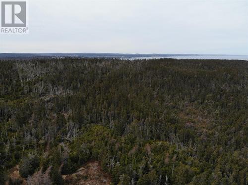 76 - 84 Conception Bay Highway, Holyrood, NL 