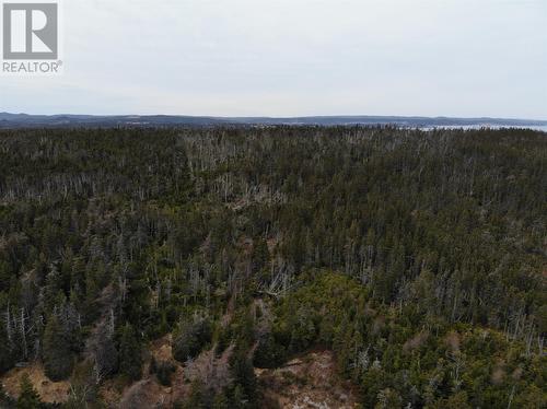 76 - 84 Conception Bay Highway, Holyrood, NL 