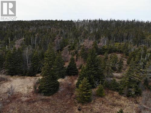 76 - 84 Conception Bay Highway, Holyrood, NL 