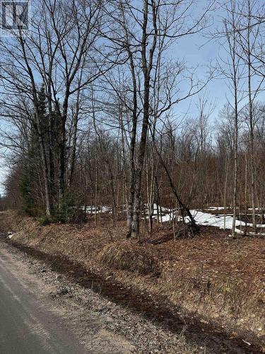 Lot 1 Lorimer Lake Road, Whitestone (Hagerman), ON 