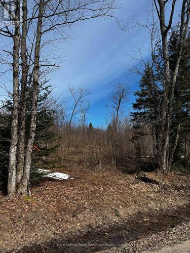 Lot 2 Lorimer Lake Road, Whitestone (Hagerman), ON 
