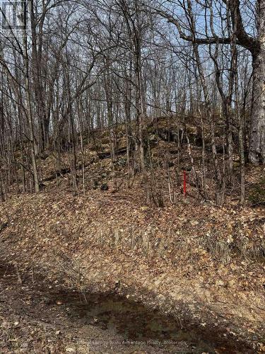 Lot 2 Lorimer Lake Road, Whitestone (Hagerman), ON 