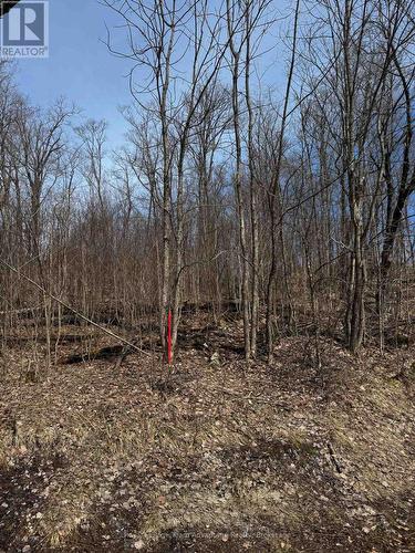 Lot 2 Lorimer Lake Road, Whitestone (Hagerman), ON 