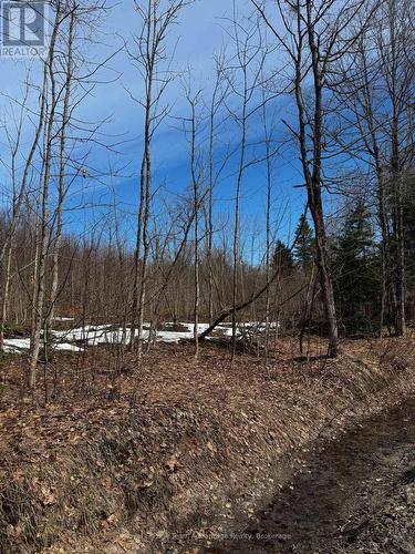 Lot 2 Lorimer Lake Road, Whitestone (Hagerman), ON 