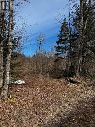 Lot 2 Lorimer Lake Road, Whitestone (Hagerman), ON 