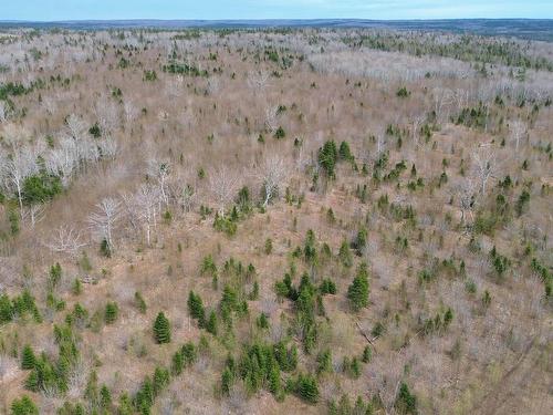 Acreage Mason Road, Glendale, NS 